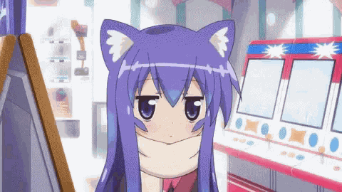 Neko Acchi Kocchi GIF