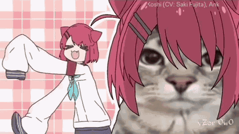 Neko Nekoyamada Shikonokonokonokokoshitantan GIF