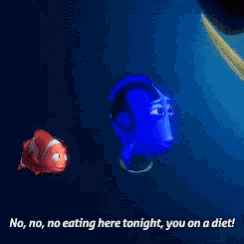 Nemo Dory GIF