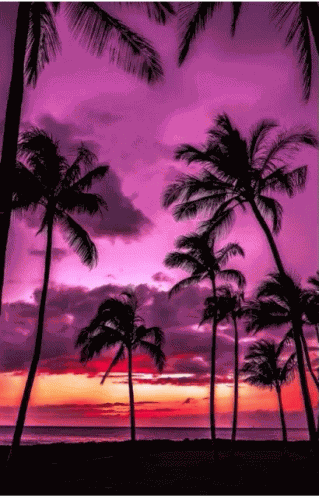 Neon Beach GIF
