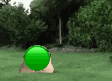 Nepunator Cat GIF