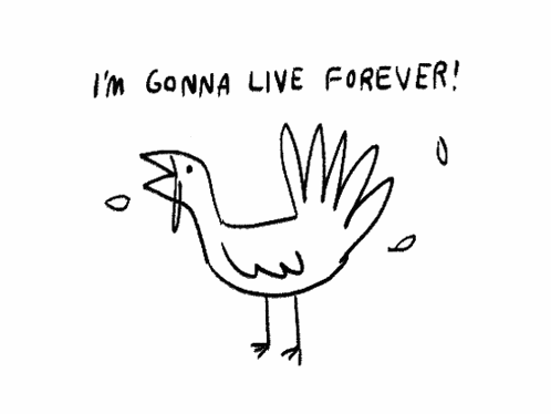 Never GIF