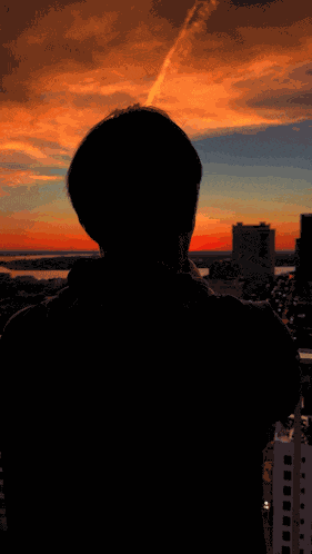 New Orleans Nola GIF