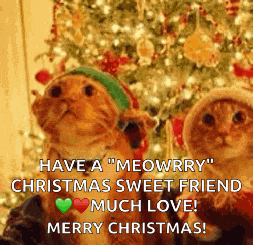 New Years Eve Party Meme