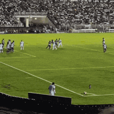 Neymar Neymar Jr GIF