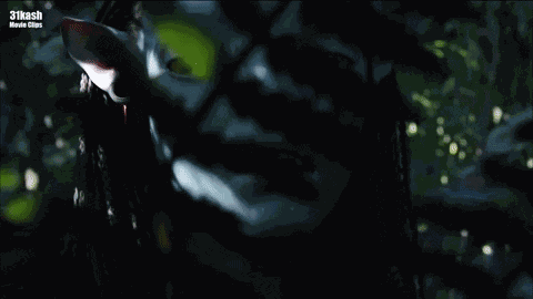Neytiri Avatar GIF