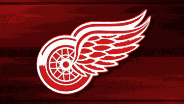 Nhl Detroitredwings GIF