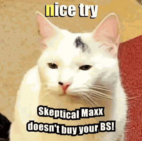 Nice Try Skeptical GIF
