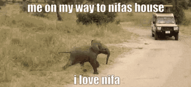 Nifa GIF