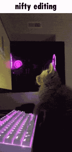 Nifty Youtube GIF