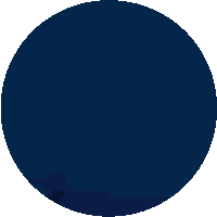 Night Crickets Sticker