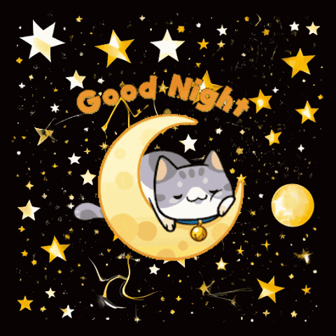 Night Good Night GIF