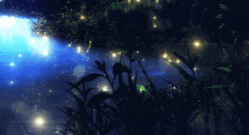 Night Light GIF