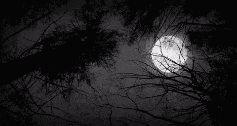 Night Moon GIF