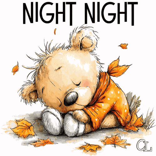 Night Night Good Night GIF