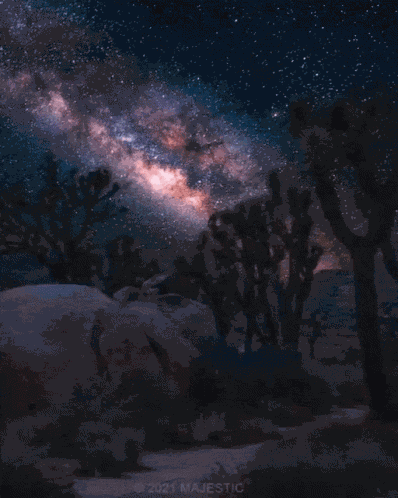 Night Sky GIF