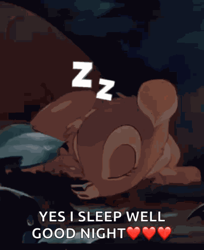 Nightnight Night Night GIF
