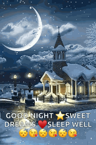 Nighttime Snow GIF