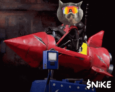 Nikepig GIF
