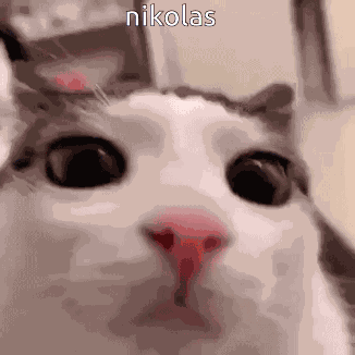 Nikolas Nikolas Giannopoulos GIF