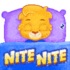 Nite Nite Good Nite Sticker