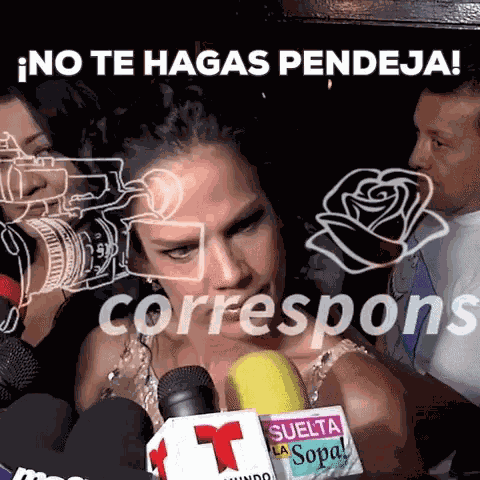 Niurka Pendeja GIF