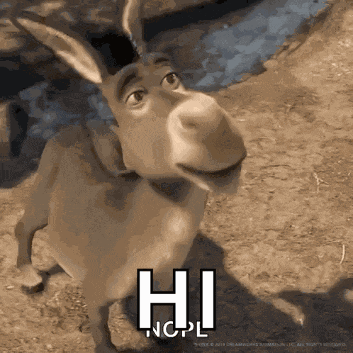 No Donkeys GIF