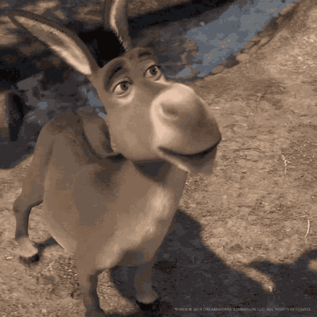No Donkeys GIF