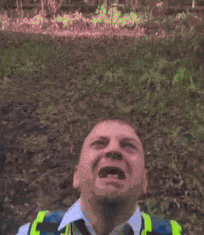 No Noooo GIF