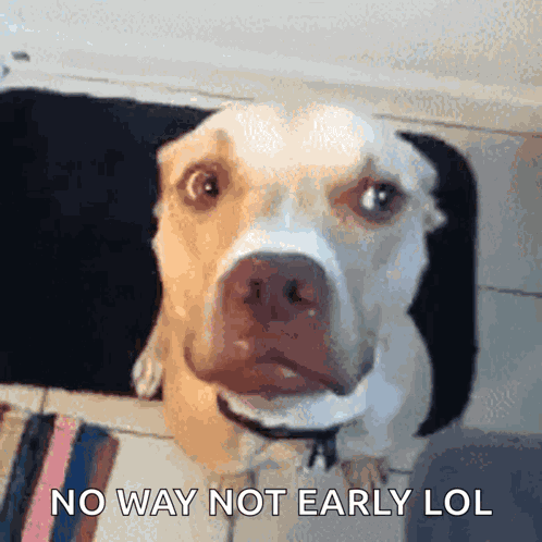 No Not In My House GIF