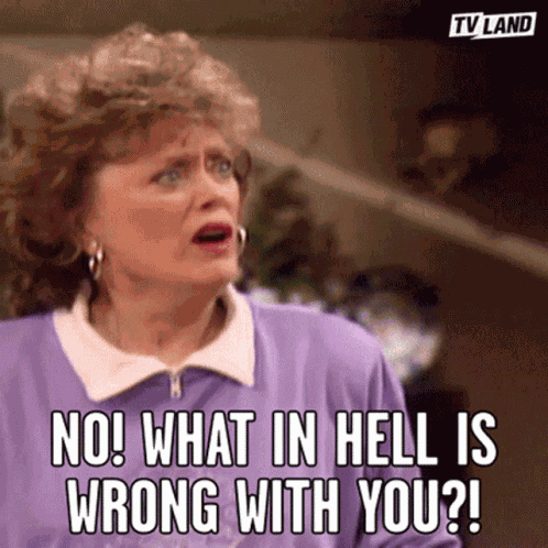 No What In The Hell Is Wrong With You GIF
