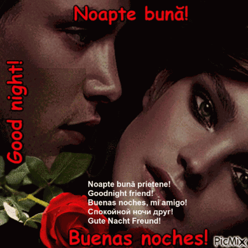 Noapte Buna GIF
