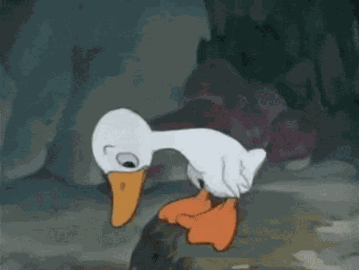 Nolzapink Sad Duck GIF