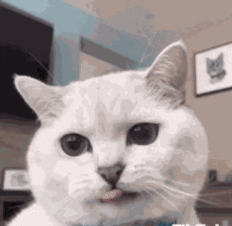 Nom Nom Nom Eating GIF