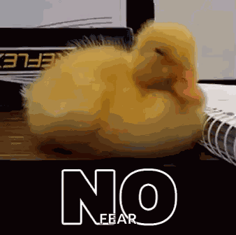 Nope Duck GIF