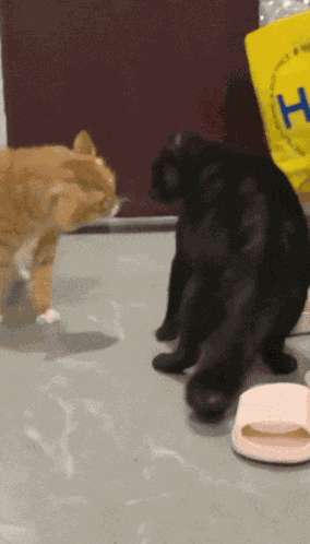 Nope Nope Nope Arguing GIF