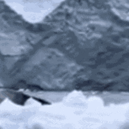 Nope Nope Nope Nopenopenope GIF