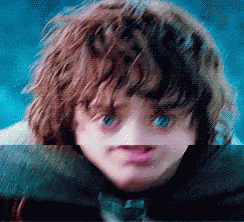 Nose Lord Of The Rings GIF