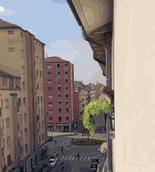 Nosey Cat GIF