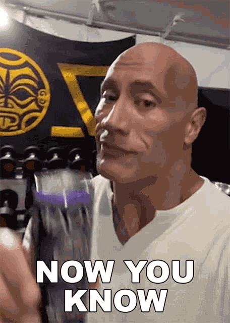 Now You Know Dwayne Johnson GIF