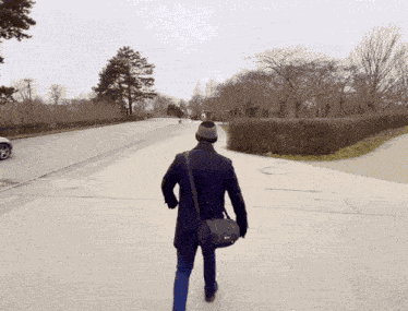Npc Walk GIF