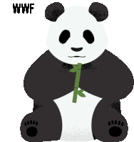 Nuntius Nuntius Panda Sticker