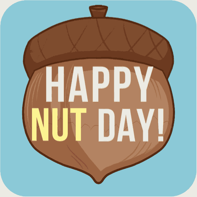 Nut Day Happy Nut Day GIF