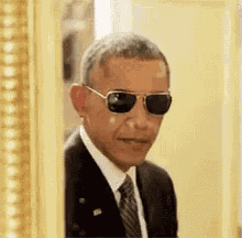 Obama Biden GIF