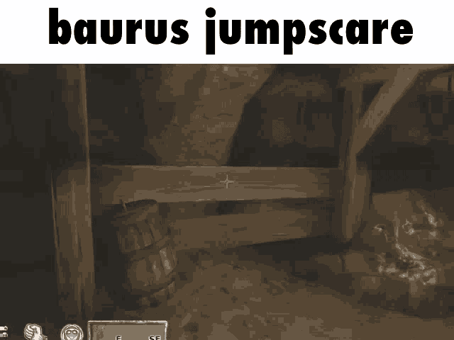 Oblivion Elder Scrolls GIF