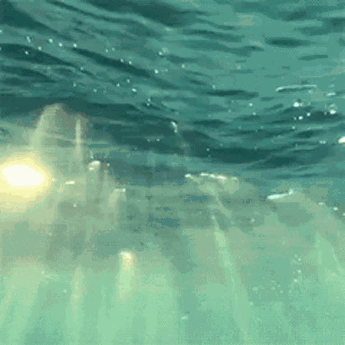 Ocean Calm GIF