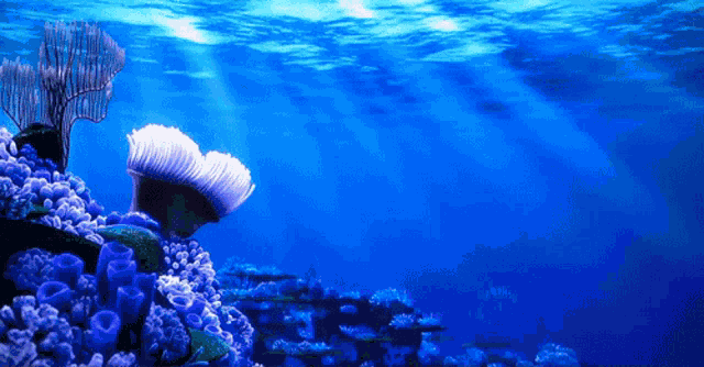 Ocean GIF