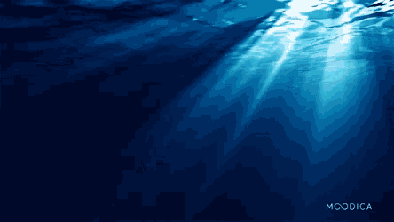 Ocean Sea GIF