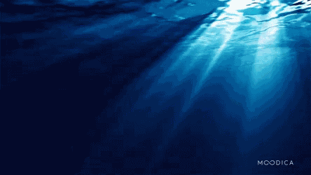 Ocean Sea GIF