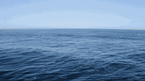 Ocean Sea GIF